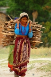 Nepalese woman carrying firewood